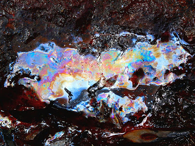Iron oxide film in puddle, Hartz Mountains - 3 Nov 2007