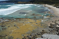 South Cape Bay - 25th January 2010