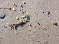 Plastic fragments from fishing boat junk on South Cape Bay Beach - 15th August 2008