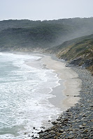 South Cape Bay Beach, scoured of all edible items after the passing of The Swarm - 16th September 2009