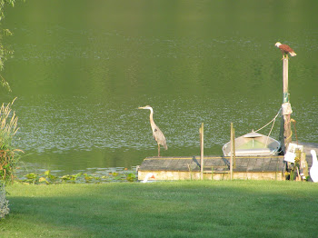 A morning at the lake.