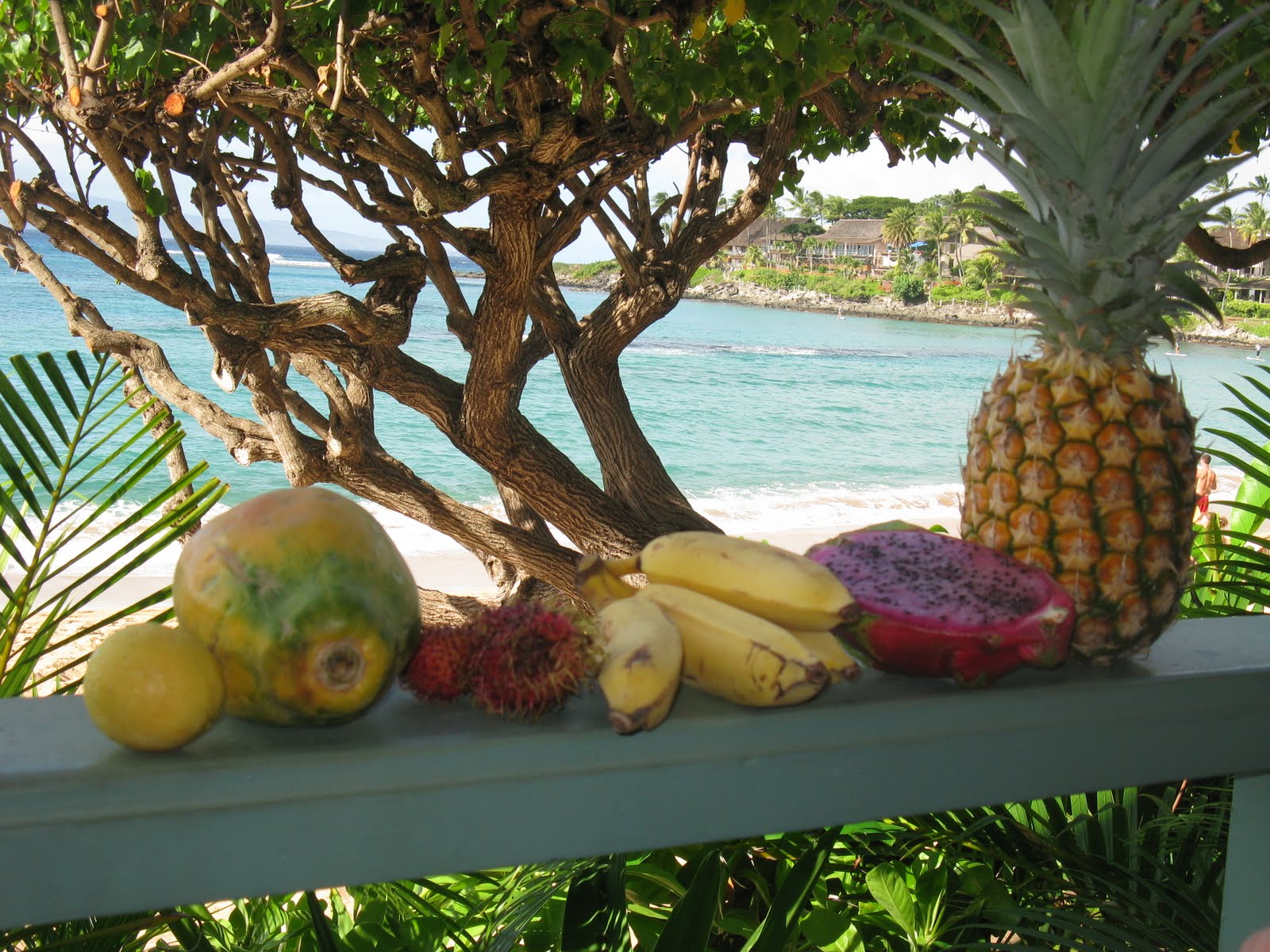 Hawaiian tropical fruit... May Pinterest Tropical Fruits, Tropical and Fruit