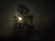 December 2009