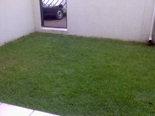 [DSC00063.JPG]