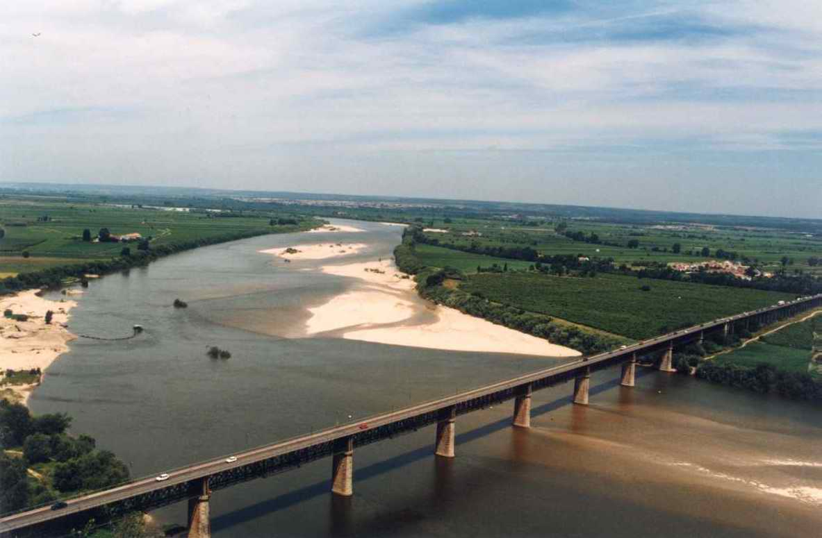 [Santarem_zorate.jpg]