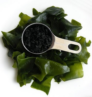 Photo of wakame from fotoosvanrobin at Flickr