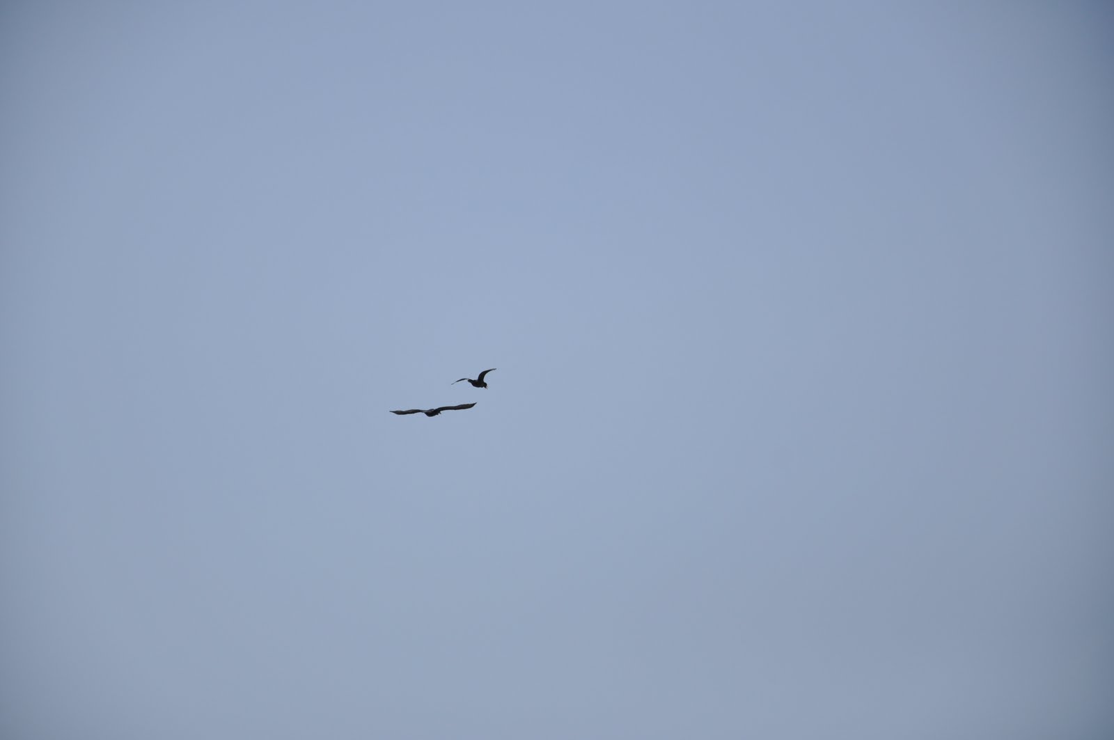 [DSC_0162.JPG]