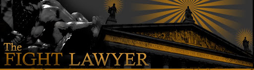 The Fight Lawyer