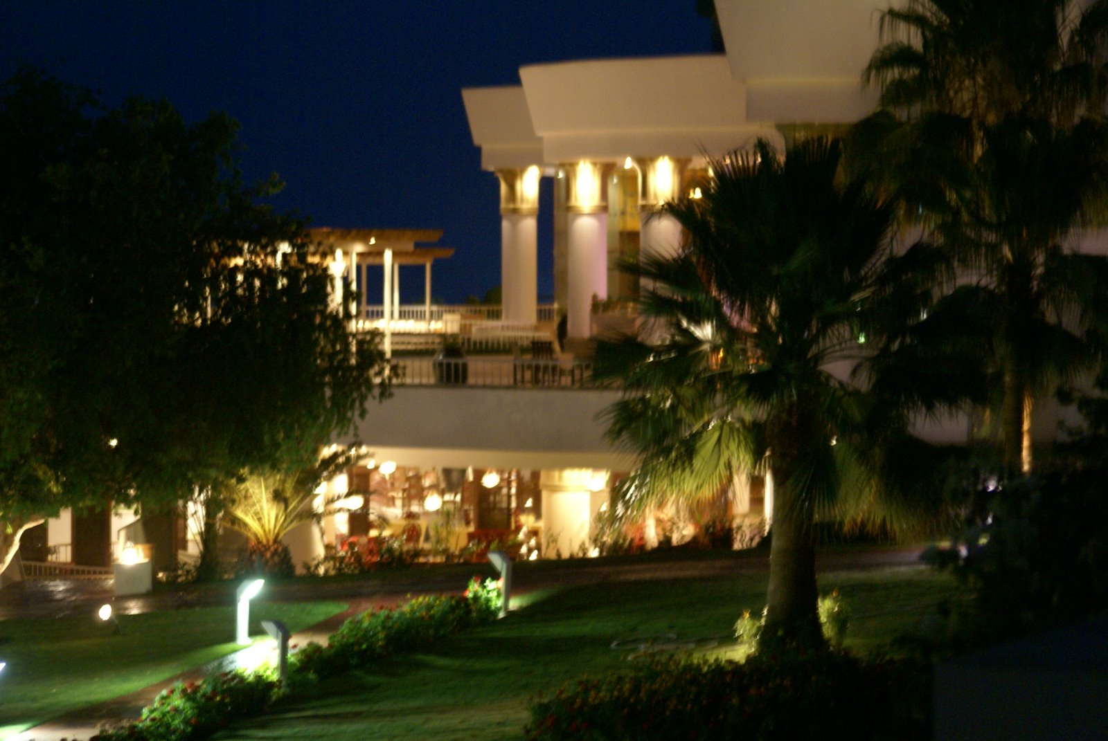 [DSC00658.JPG]