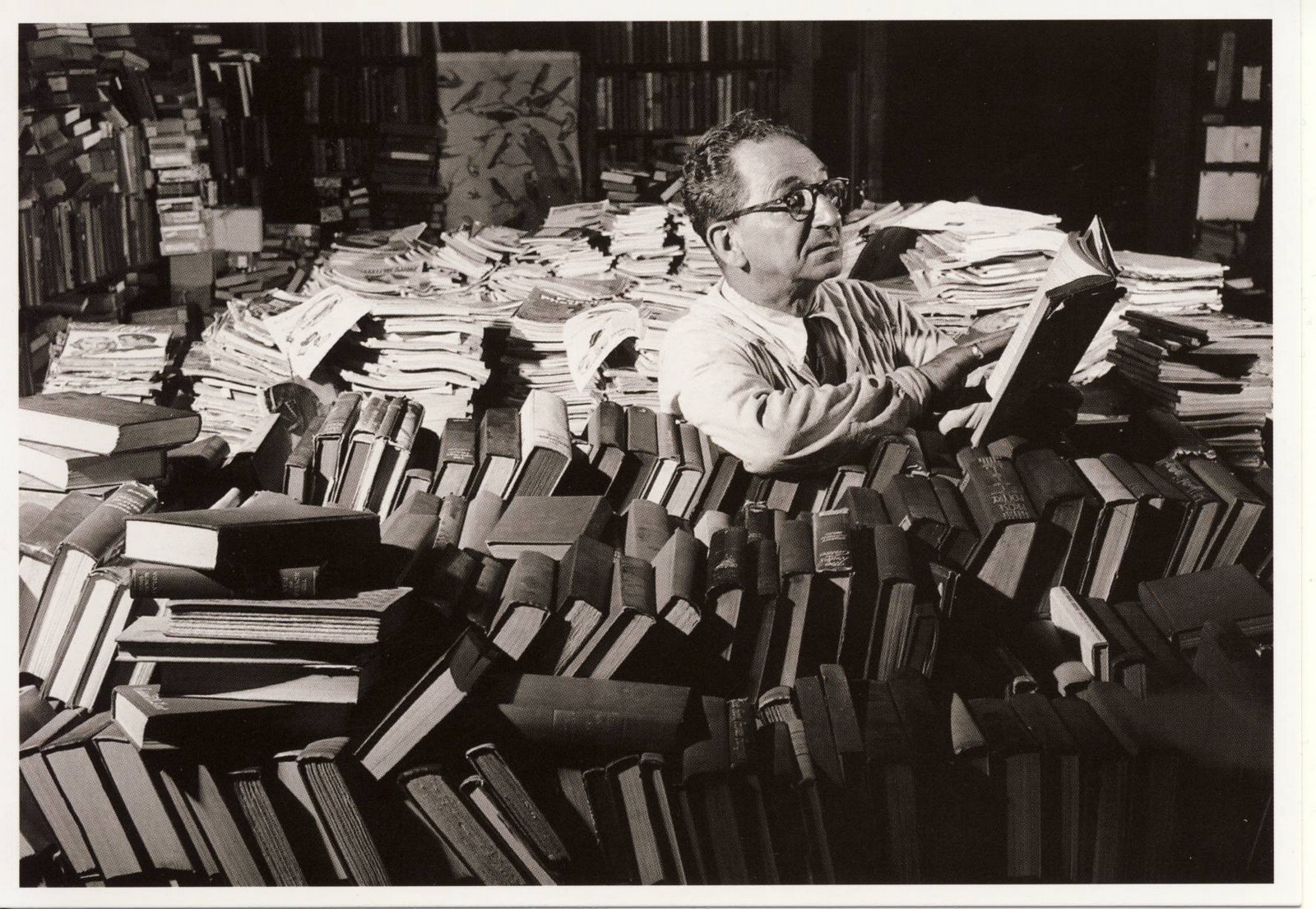 [libraire.JPG]