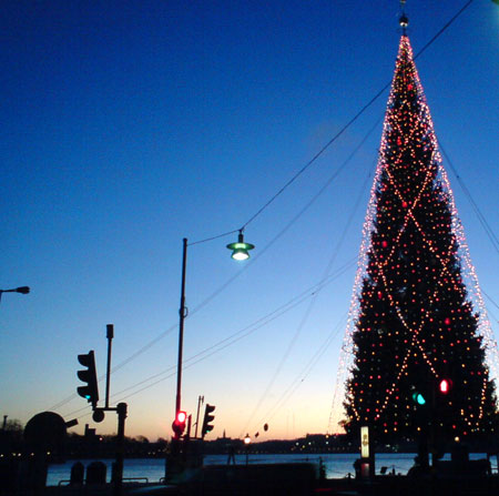 [stenbecksjulgran]