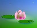 Ma photo