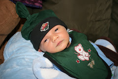 Go Wild!