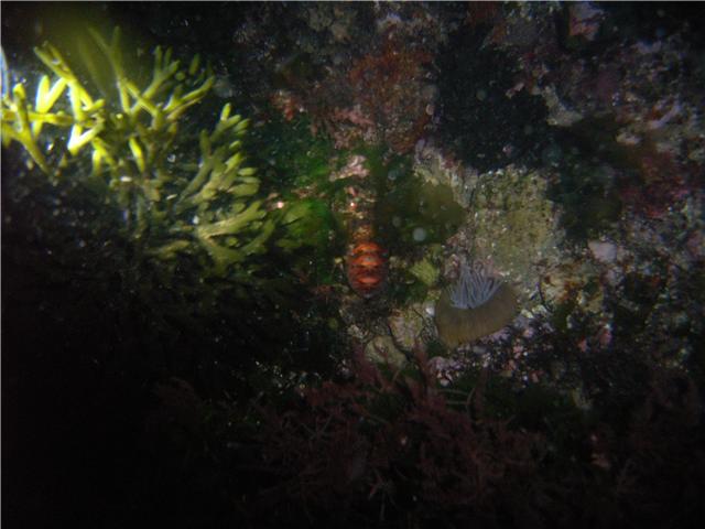 [GetAttachment.aspxdfdfdf.jpg]