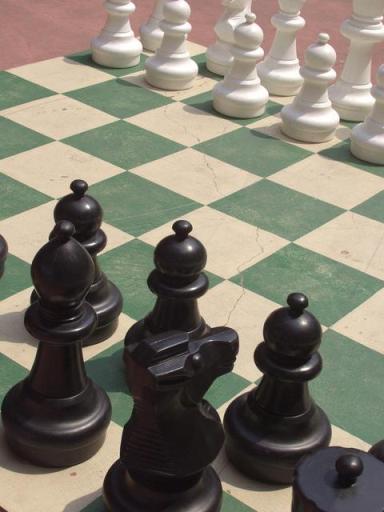 [chess45.jpg]