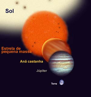 [AnaCastanha.jpg]