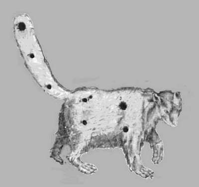 [ursa+menor.JPG]