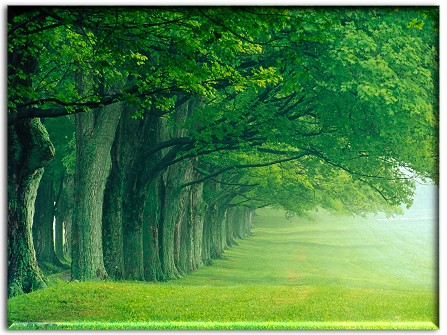 Wallpaper Desktop Hd. wallpaper desktop background. Wallpaper Desktop Hd.