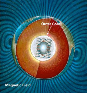 Magnetic Poles Earth