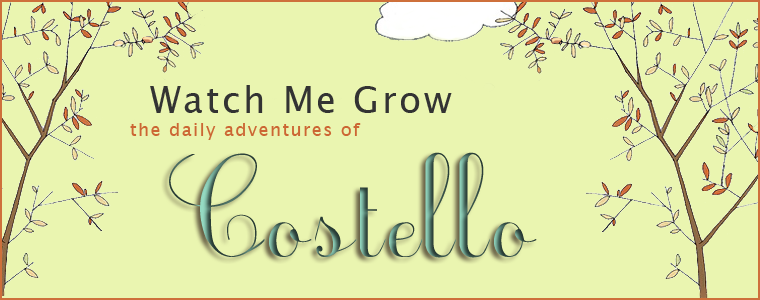 Daily Adventures of Costello