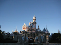 Disneyland Dec 26 08