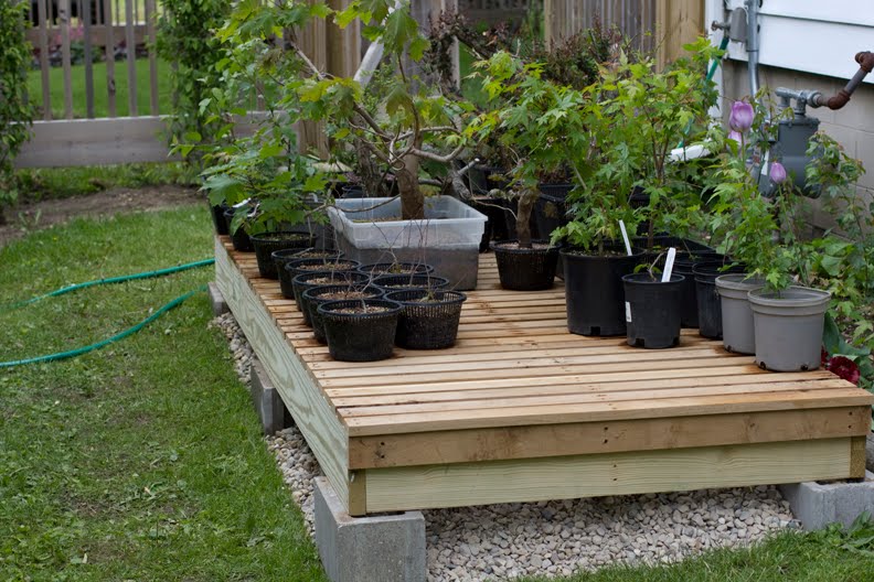 Matthew Holt's Artistic Endeavors Bonsai Bench