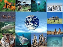 2010 - Ano Internacional da Biodiversidade