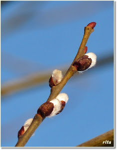 die Garten News...