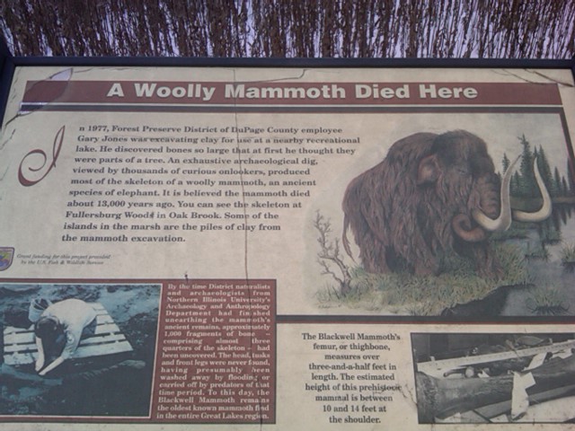 Blackwell+forest+preserve+hill