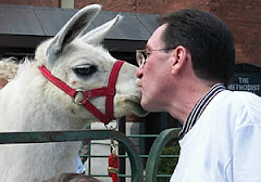 Kiss-a-Llama CHALLENGE