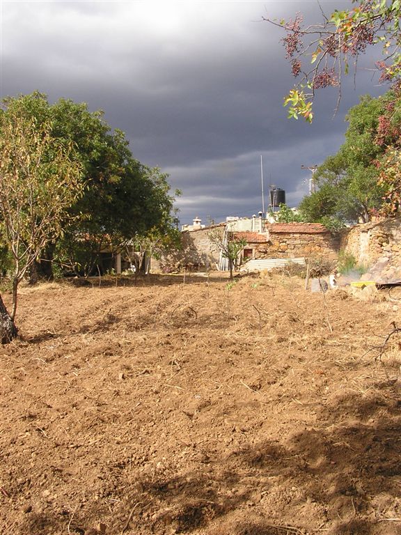 [P9240118-717299.JPG]