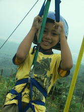 Flying fox