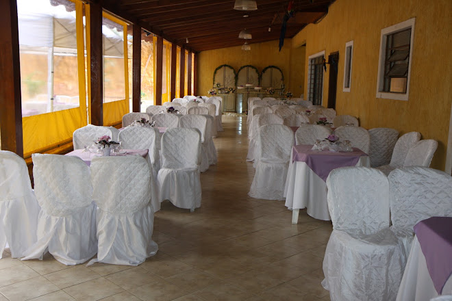 CADEIRAS COM CAPAS 19/SET/09