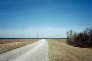 Levee Road at Dewey, Arkansas