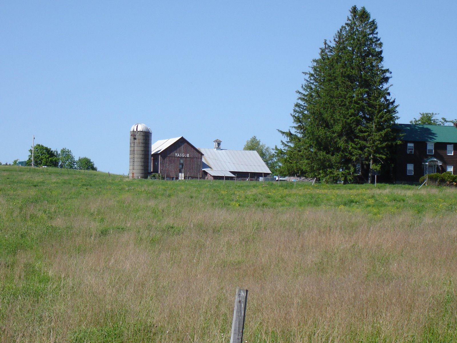[DSC00164.JPG]