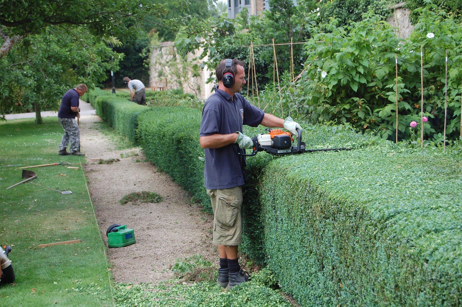 Worcester College Gardeners 2009-2018: June 2010