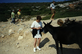 L'ILE AUX ANES