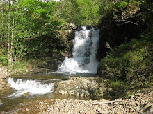 Una de las cascadas del arroyo Juzmeana
