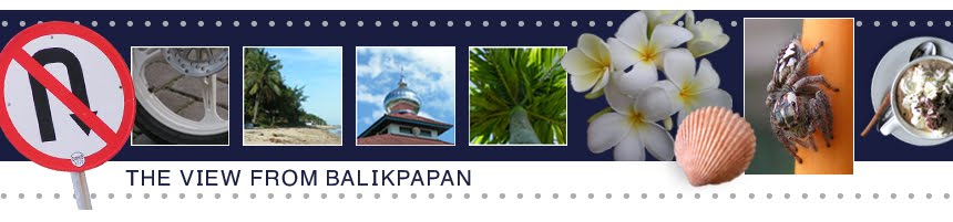 The View from Balikpapan