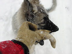 MY JOB - Carrying gloves