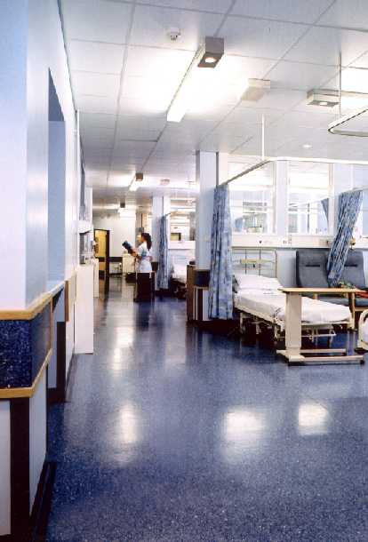 [polyflor++5.jpg]