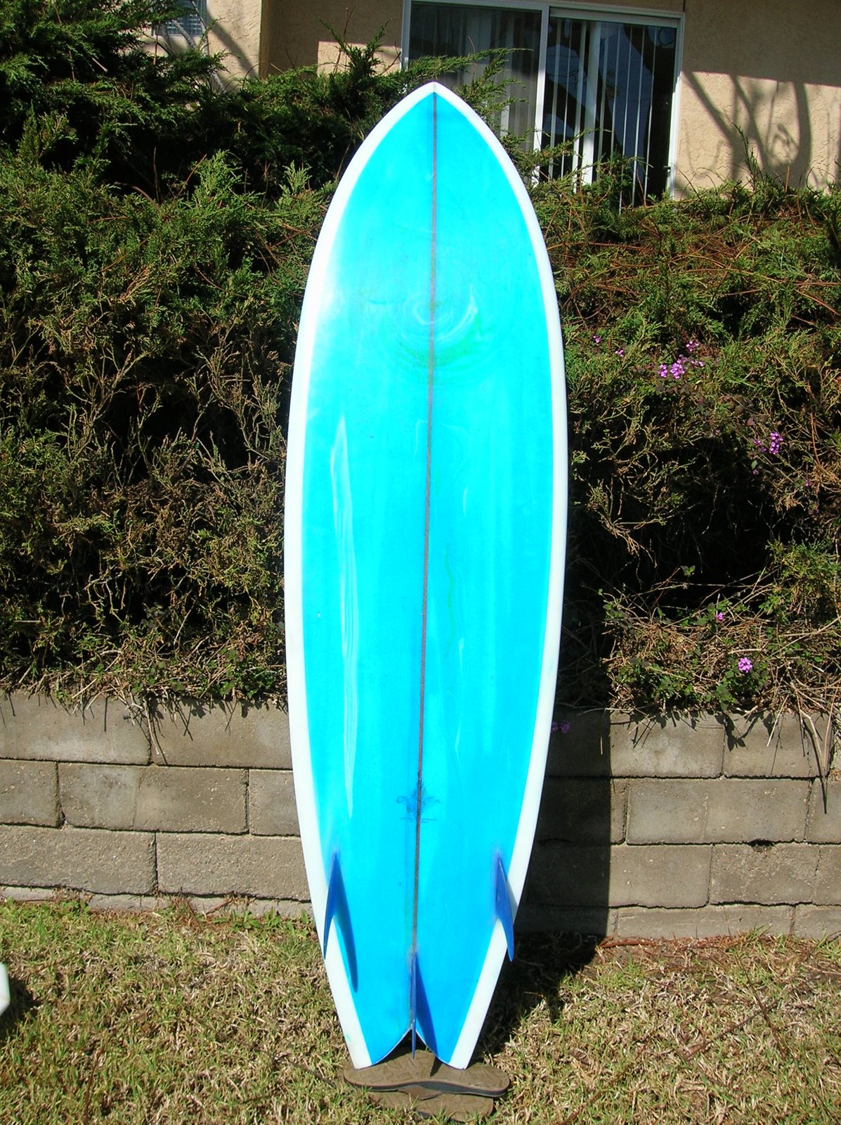 [DSCN0161.JPG]
