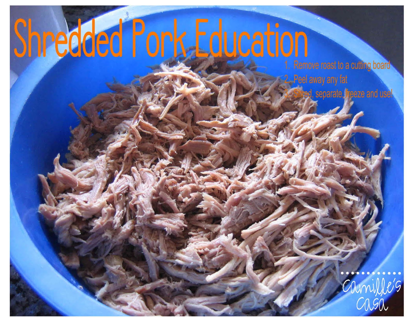 Camille's Casa: Shredded Pork Education