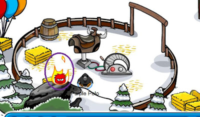 Ninja Puffle