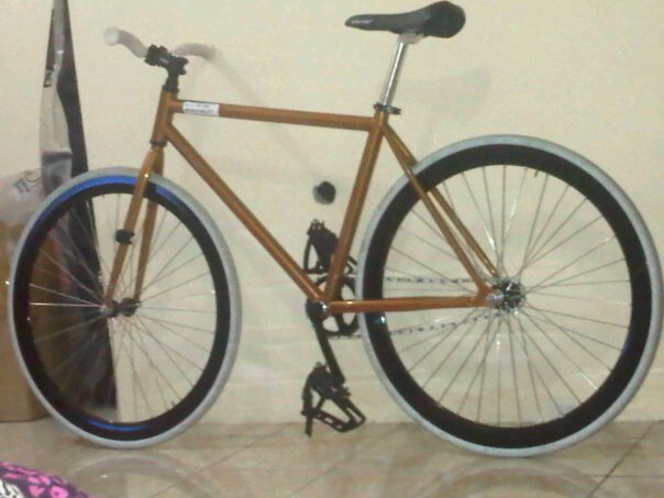 gw fixie