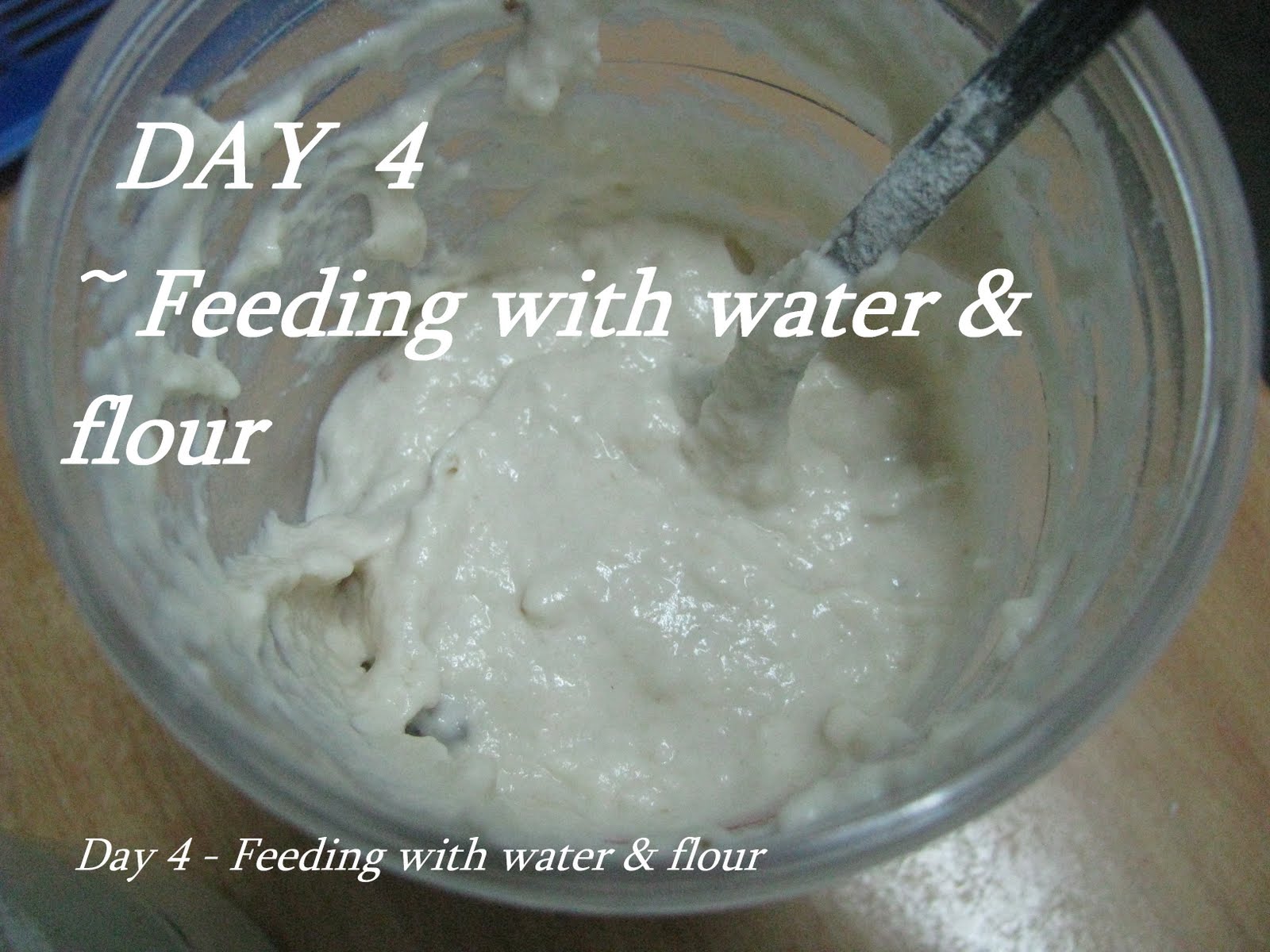 Homemade Leaven Wild Yeast