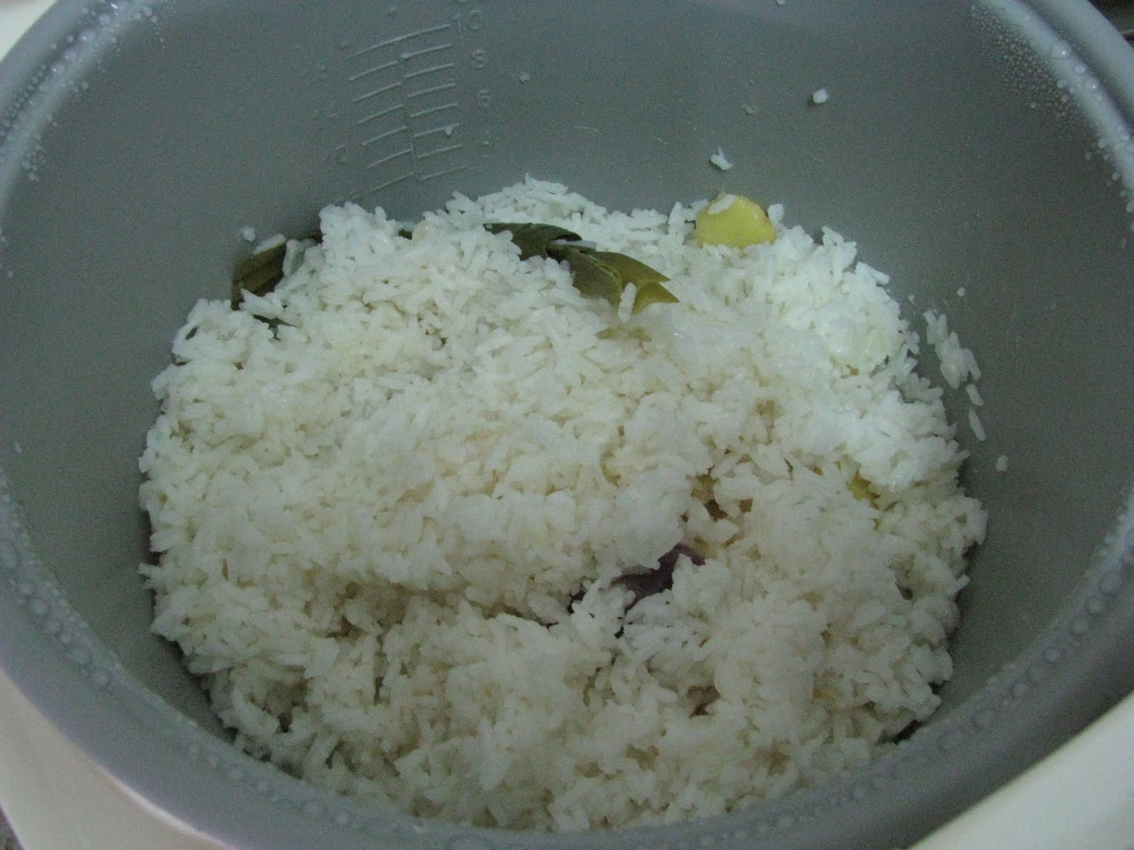 Simple Rice Cooker Chicken Rice
