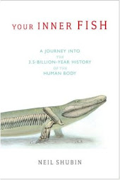 Tiktaalik
