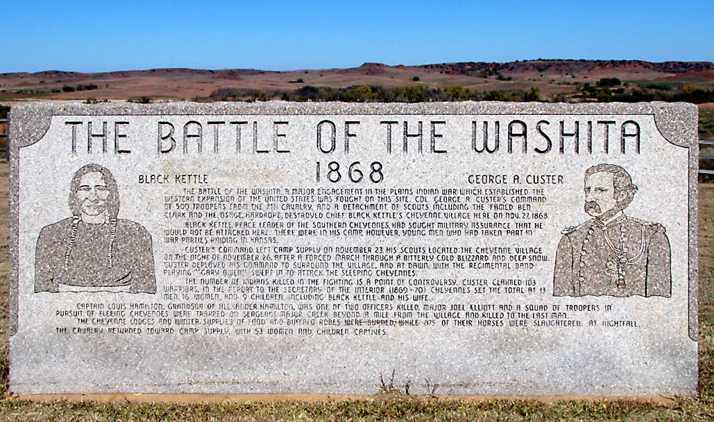 Palms Americana Washita