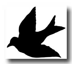 Bird Silhouette Flying